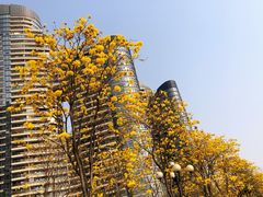 -洲头咀公园