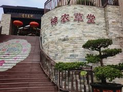 -广州神农草堂中医药博物馆