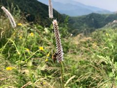 -驼梁风景区