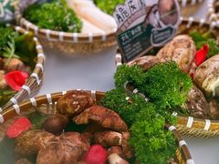 -芸山季·云南山珍菌火锅(人民广场来福士店)