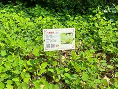 -广州神农草堂中医药博物馆