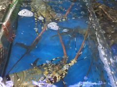 -清水湾3号(东方小周海鲜店)