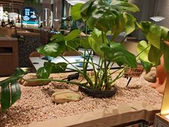 -相遇·川湘融合菜(金坛吾悦广场店)