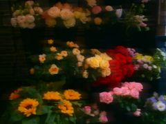 -南塘油赞子(南塘店)