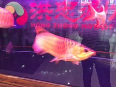 -洪忠涮烤王(嵩山路店)