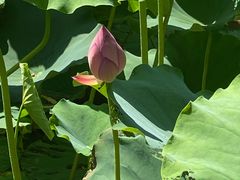 -金桥现代产业园区-停车场