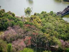 -南宁花花大世界景区