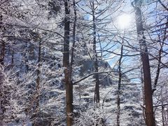-崂山巨峰游览区