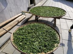 -祁门牯牛降观音堂风景区