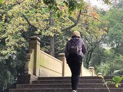 -晓港公园