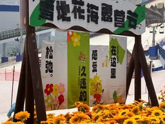 -哈尔滨热雪奇迹