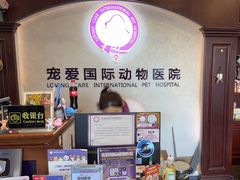 -宠爱国际动物医院·疑难骨科·心肾内科·皮肤科(太阳宫店)