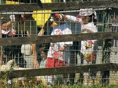 -前小桔亲子创意农场·草莓采摘·露营烧烤