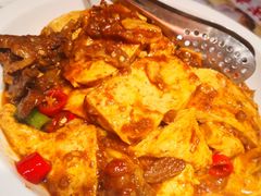 小炖肉烩豆腐-西贝莜面村(当代商城店)