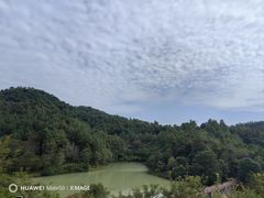 -广州白江湖森林公园