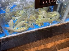 水产区-徐记海鲜(大明宫|北二环店)