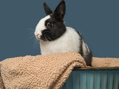 -兴旺欧韩城(上海兴旺国际服饰城店)