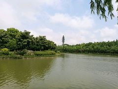 -上海鲜花港