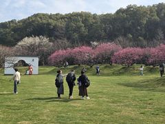 -无锡梅园公园
