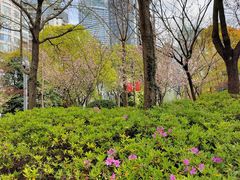 -北外滩滨江绿地