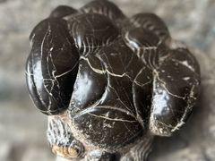 -响堂山石窟-北响堂山石窟