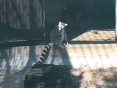 -昆明动物园