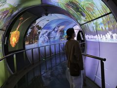 -房山世界地质公园博物馆