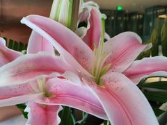 -南堂馆·新川菜(春熙路店)