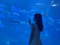 -福州罗源湾海洋世界旅游区