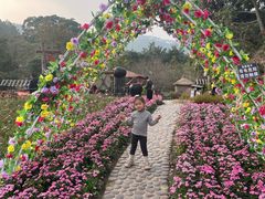 -广东天露山旅游度假区