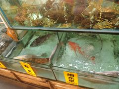 -寻味顺德·南记酒家·传统顺德菜·鱼生(广源路店)