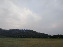 -羊山湖公园
