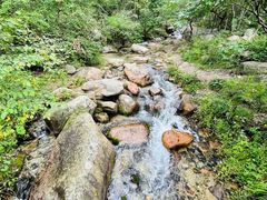 -玉渡山自然风景区