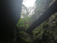 -牛背梁国家森林公园