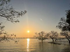 -宝安西湾红树林湿地公园