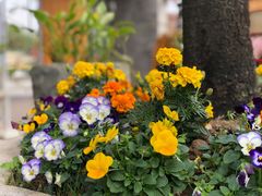 -大门水乡·顺德菜