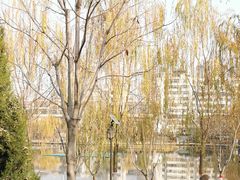 -雁滩公园