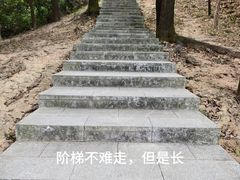-火炉山森林公园
