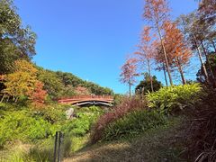 -云溪植物园