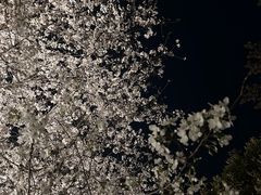 -堤角公园