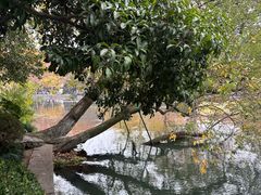 -西湖天地