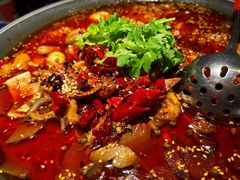 传统毛血旺-麻六记(虹桥南丰城)