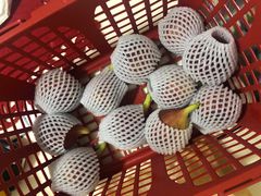 -武汉世外桃源农庄