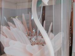 -CAKE BOSS 蛋糕老板(西单君太百货店)