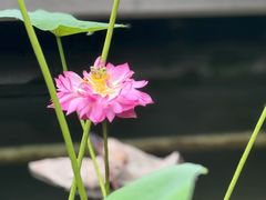 -酒蜻蜓·庭院私房菜(天元东路店)