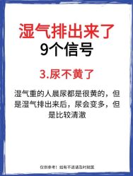 -Fundi张玉珊修身堂·indiba·BTL科技瘦身