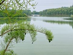 -昆山城市生态森林公园