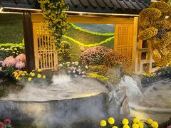 -杭州植物园