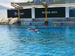 -三亚海昌梦幻海洋不夜城