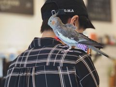 -二里咖啡(上堡公寓店)